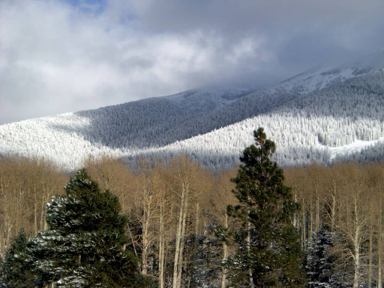 Flagstaff web design - Snow on Mt. Humphreys